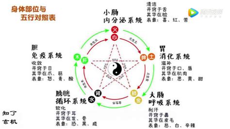 五行 体の部位